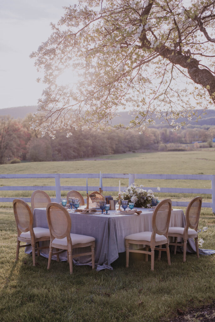 Heigh Torr Estate wedding reception outside on lawn